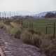 Fairmont Speeder trip on the abandoned Milwaukee Road “Pacific Extension” in 1980.  Arriving Beverly, Washington